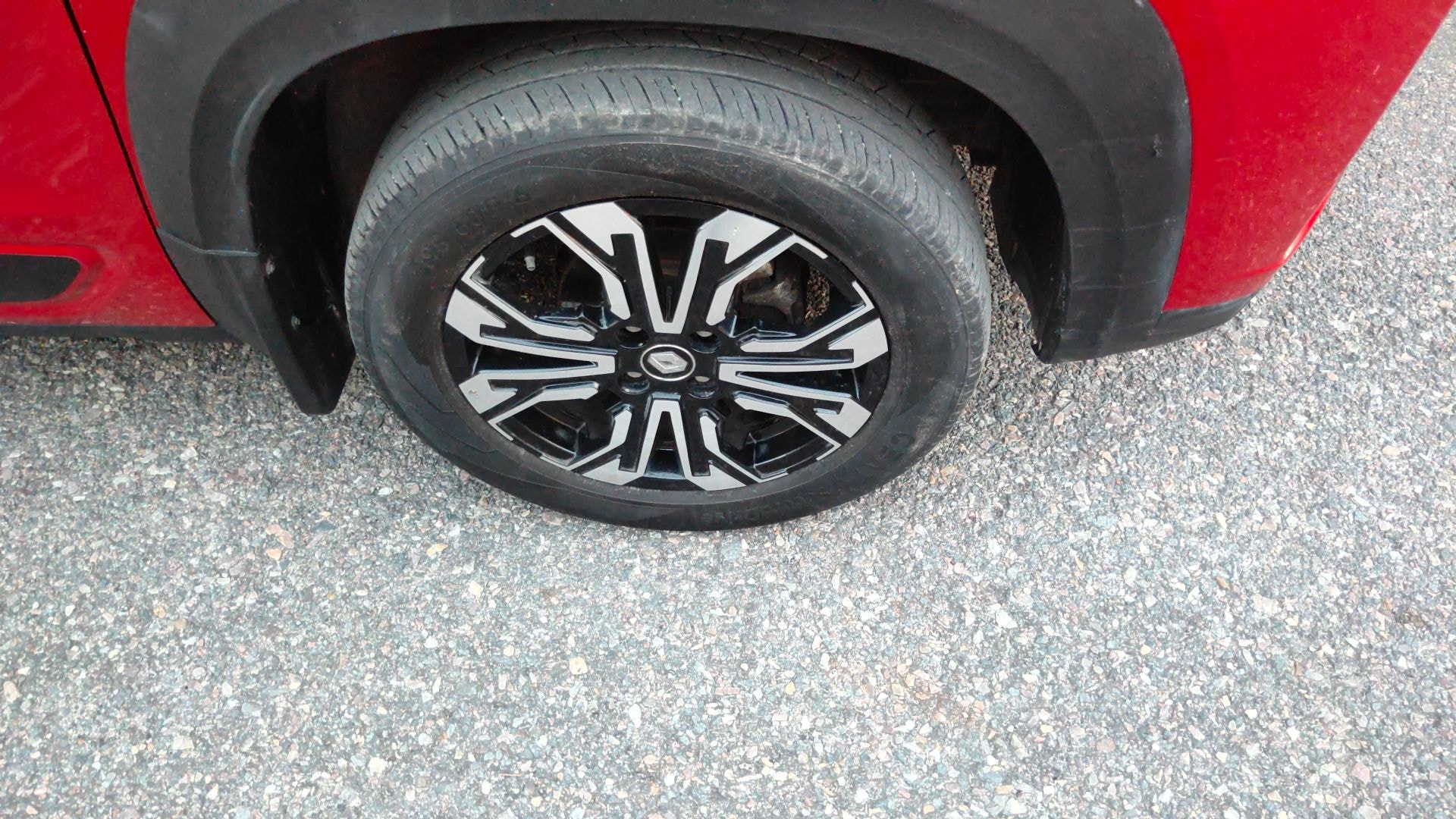 Kiger image 11 Kiger image 11