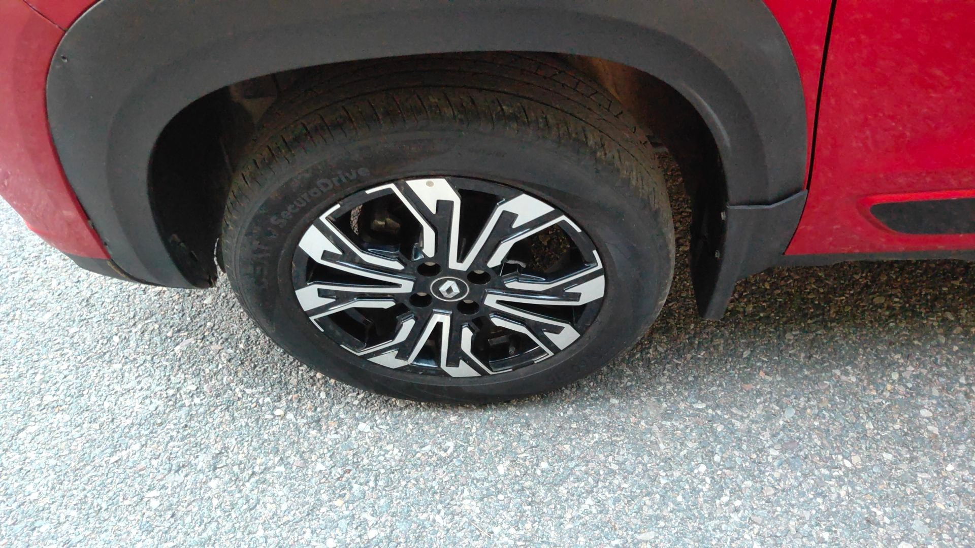 Kiger image 5 Kiger image 5