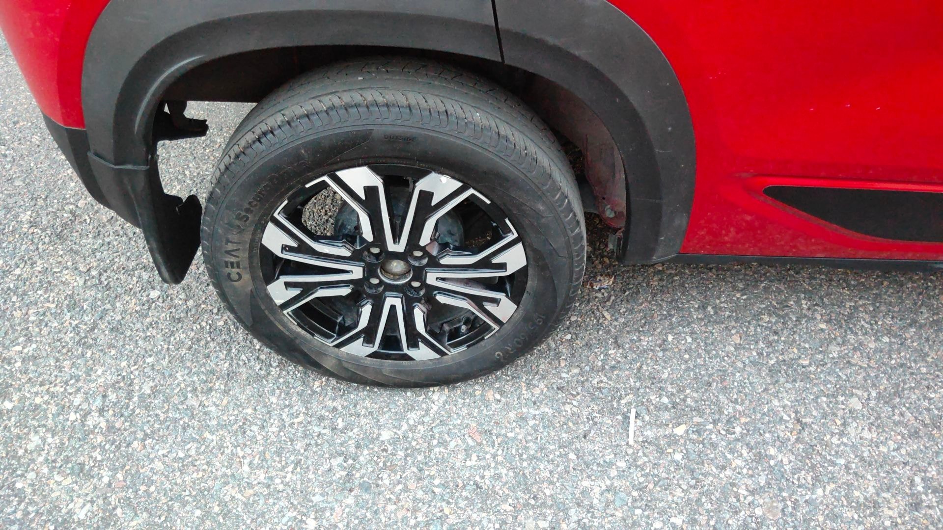 Kiger image 13 Kiger image 13