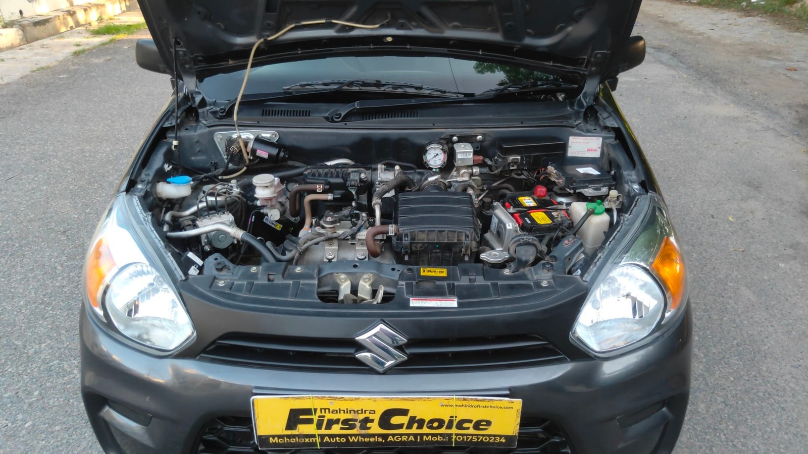 Alto 800 image 13 Alto 800 image 13