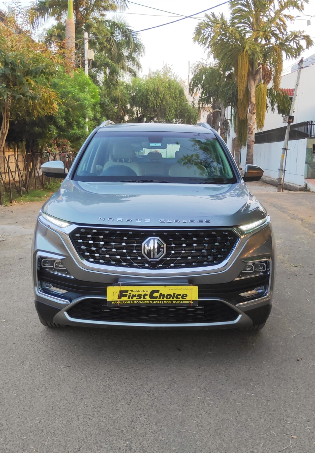 Hector image 8 Hector image 8