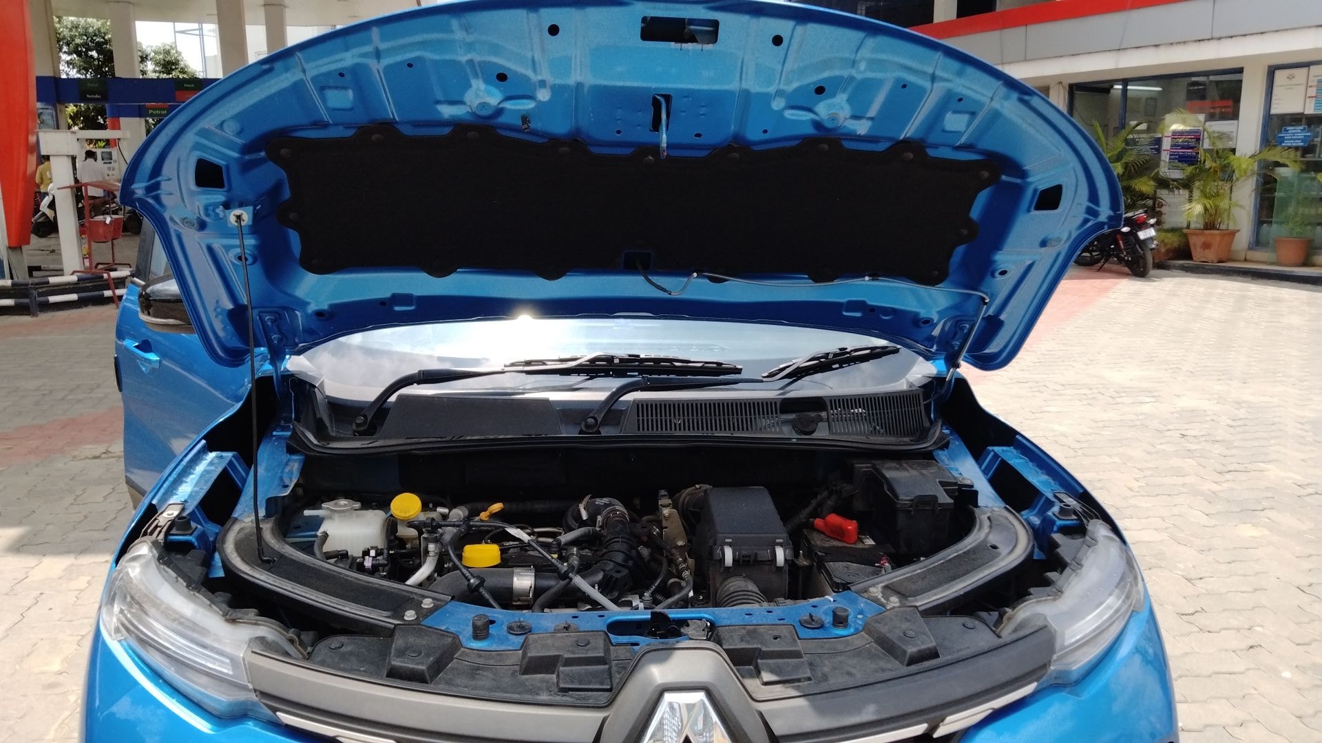 Kiger image 13 Kiger image 13