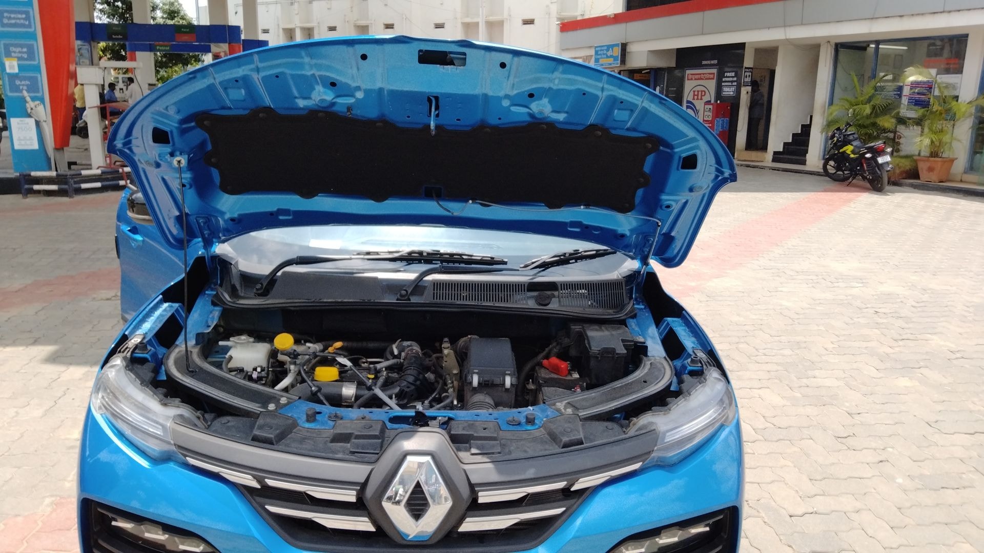 Kiger image 19 Kiger image 19