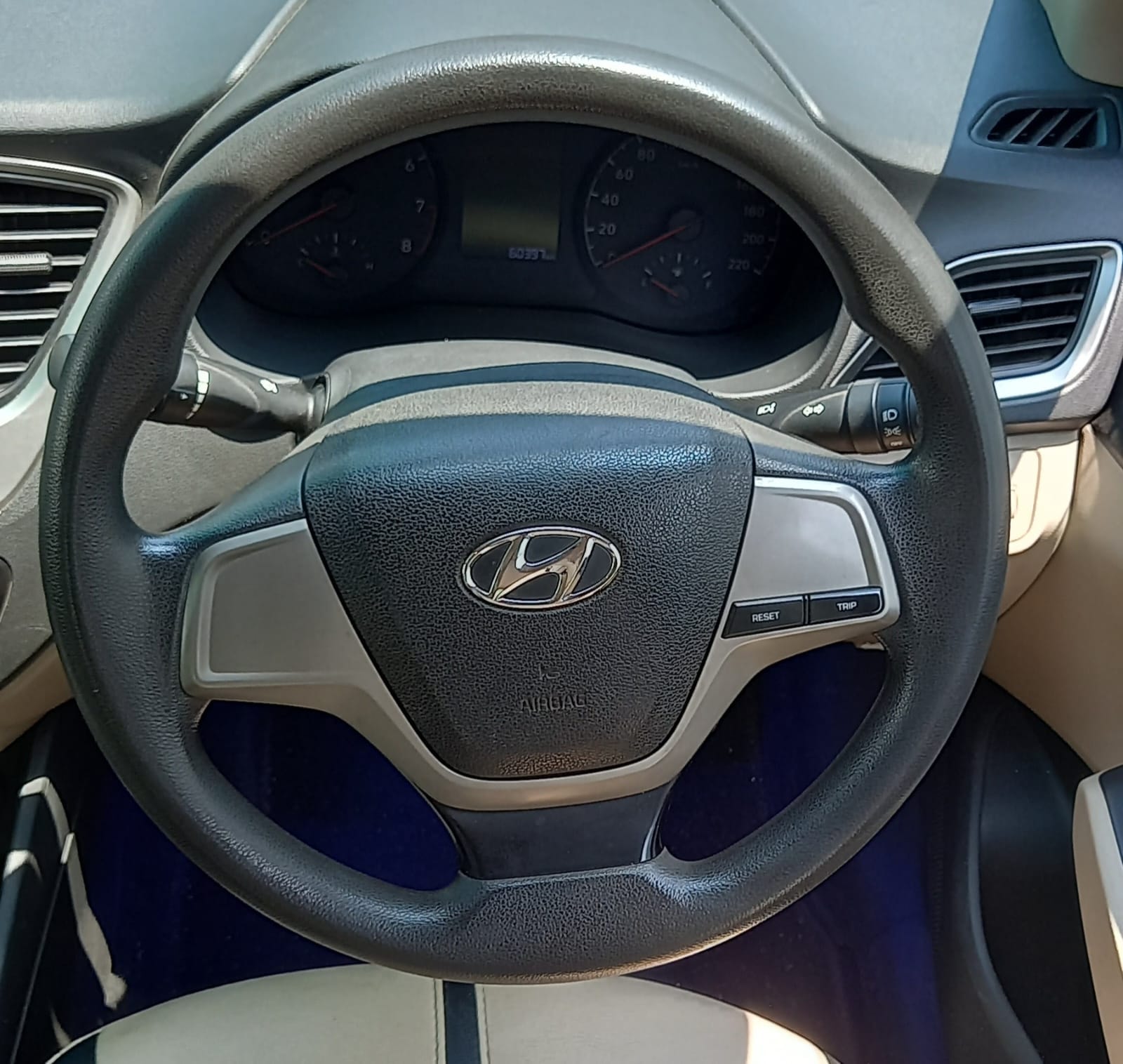 Verna image 13 Verna image 13