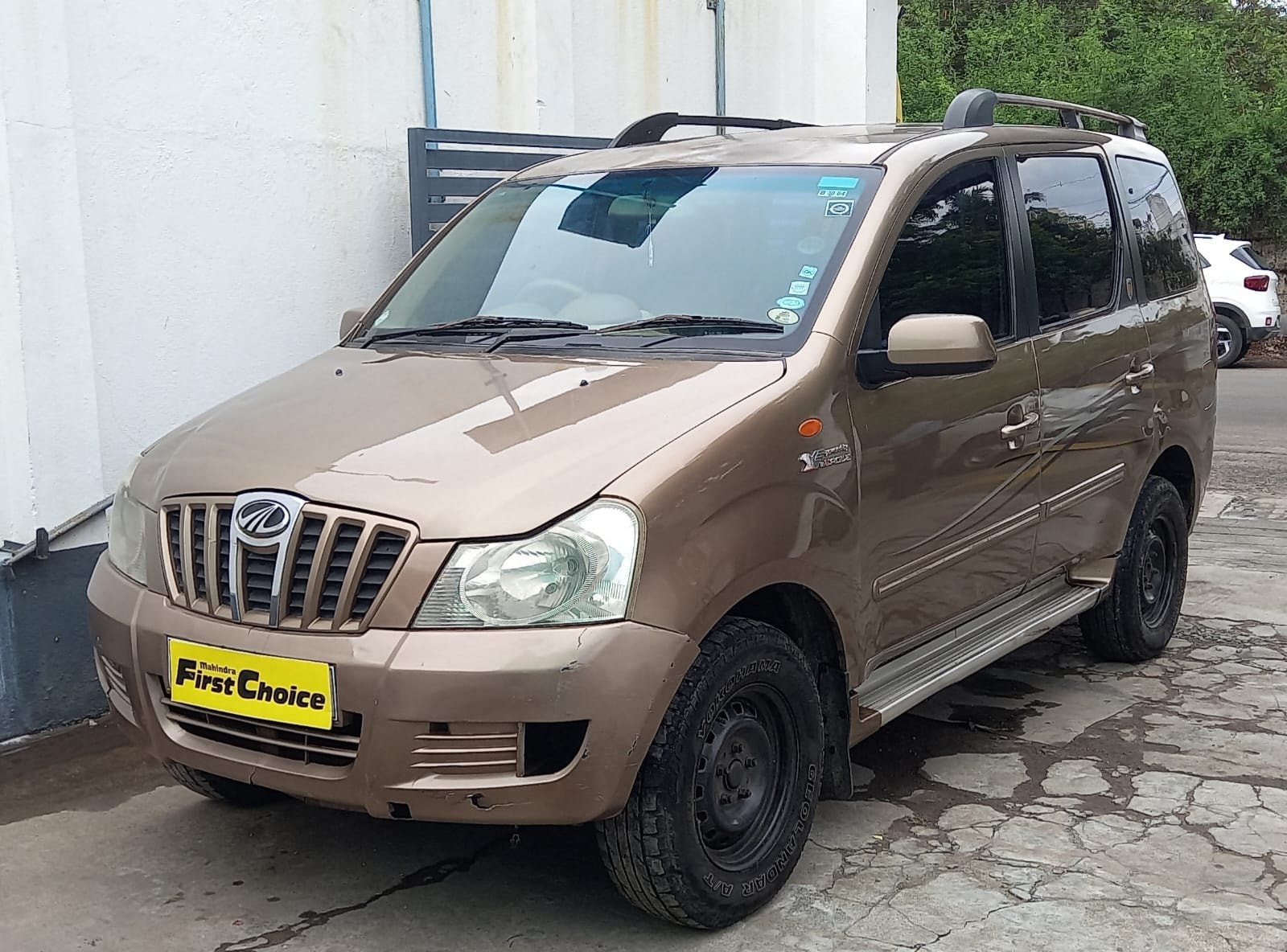 Xylo image 1 Xylo image 1