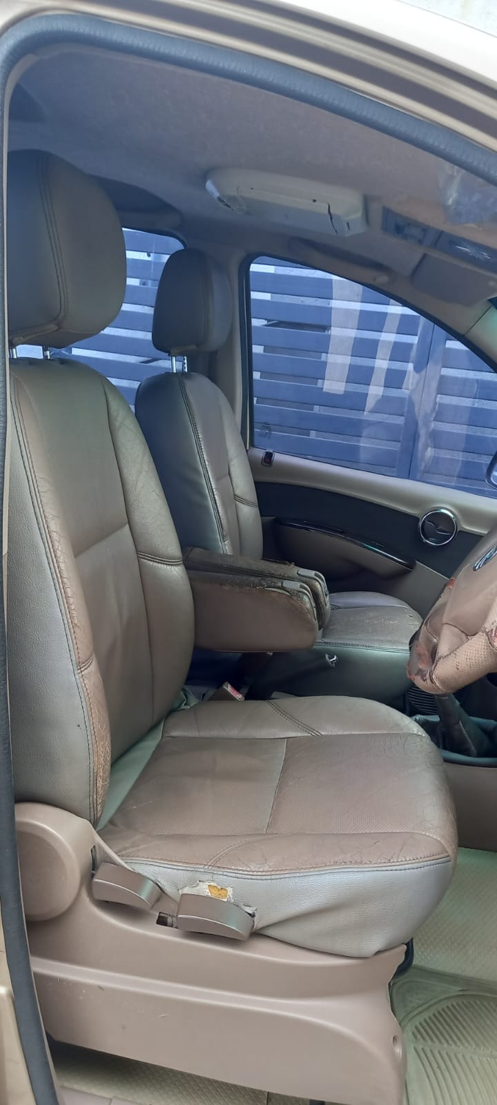 Xylo image 13 Xylo image 13