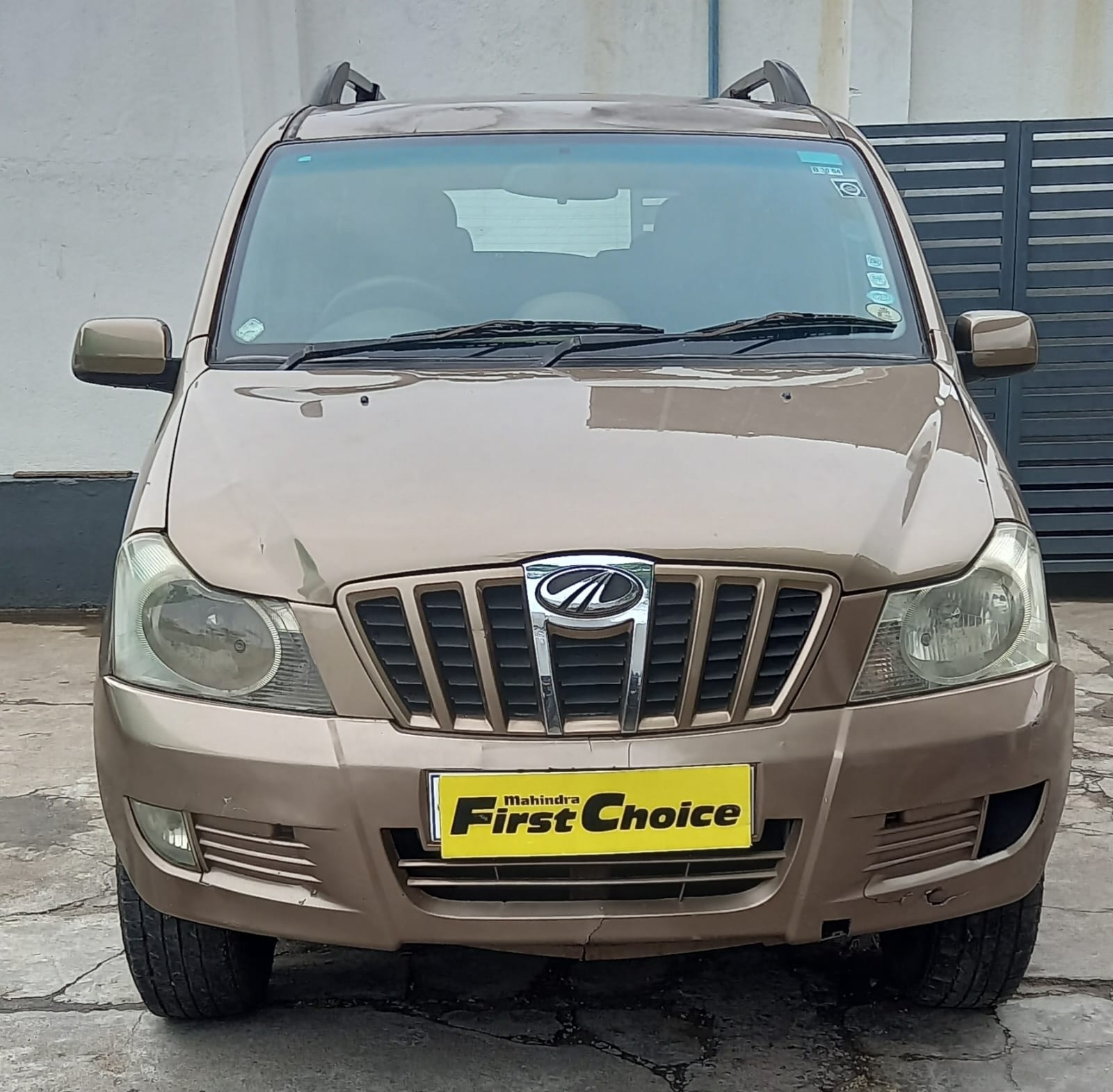 Xylo image 8 Xylo image 8