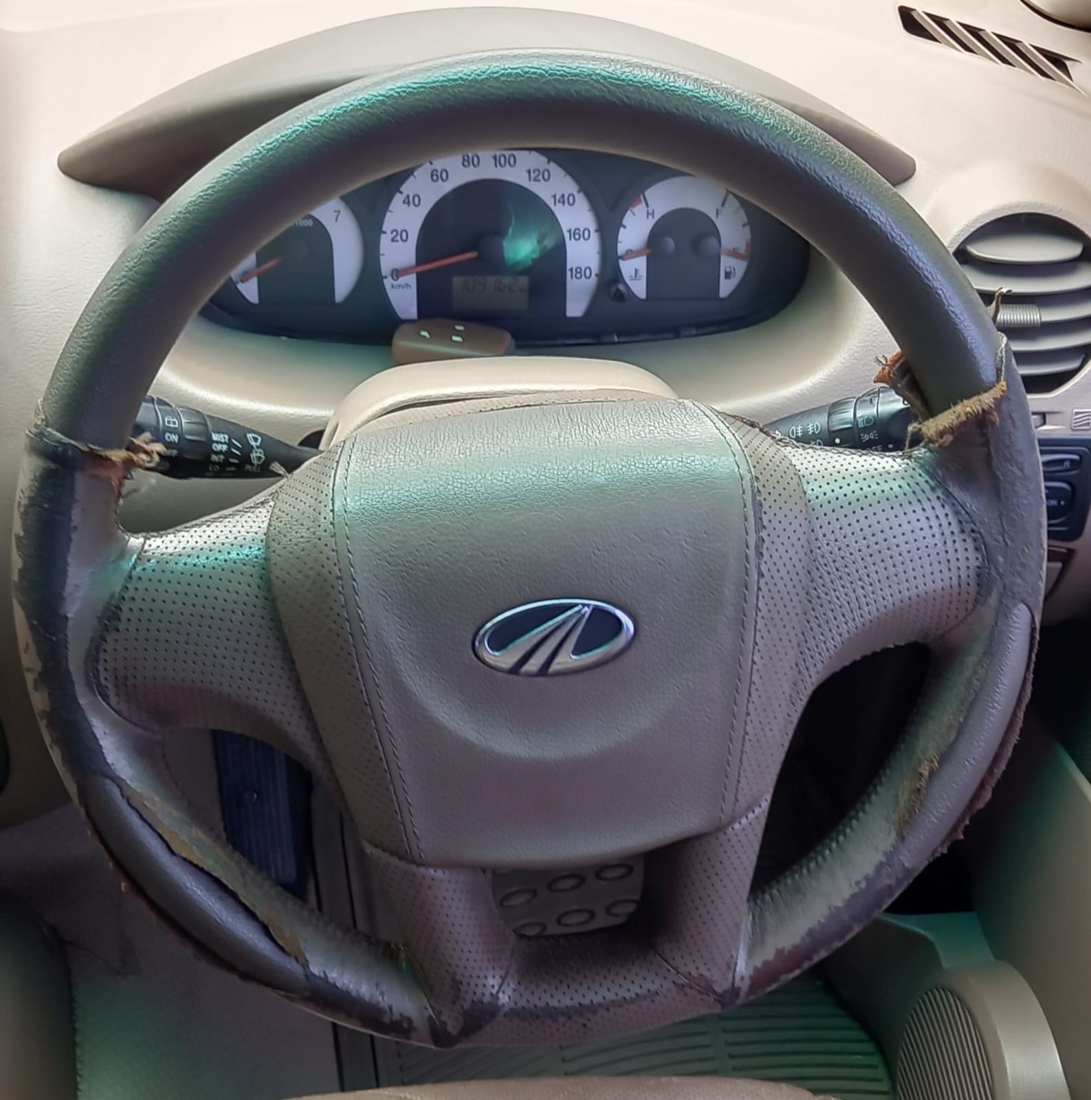 Xylo image 12 Xylo image 12