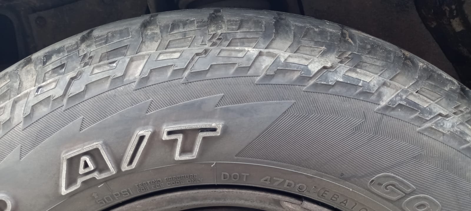 Xylo image 9 Xylo image 9