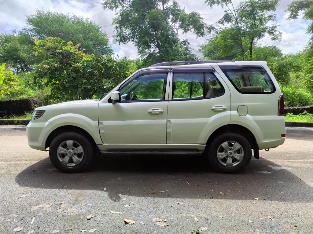 Safari Storme image 2 Safari Storme image 2