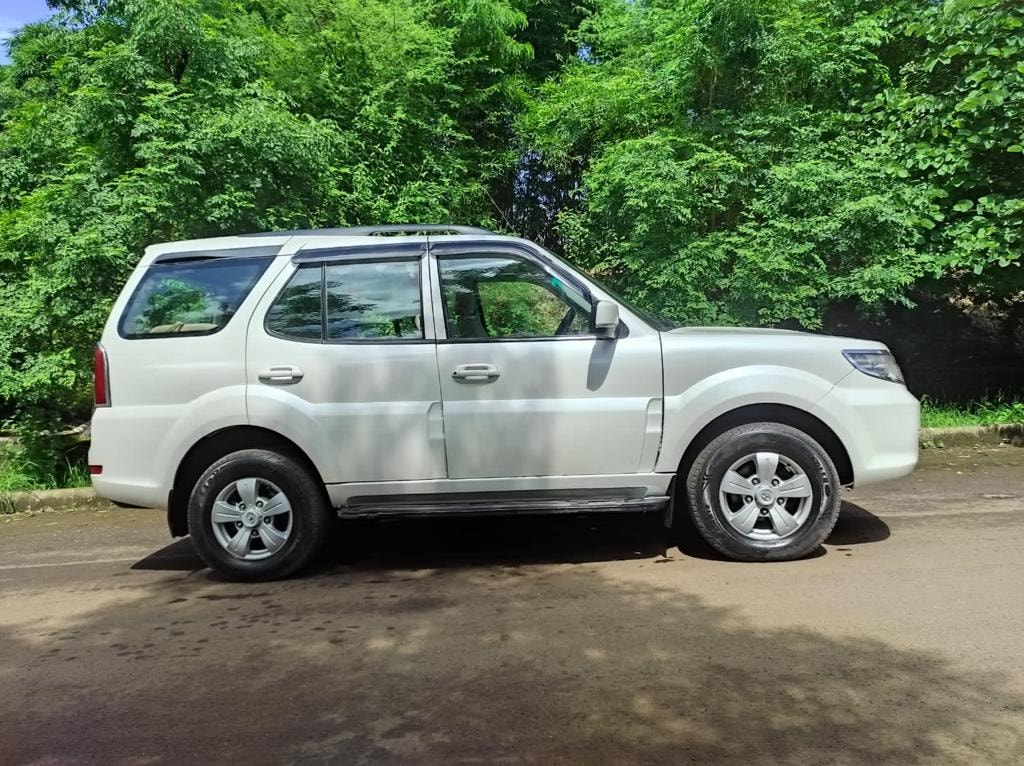 Safari Storme image 5 Safari Storme image 5