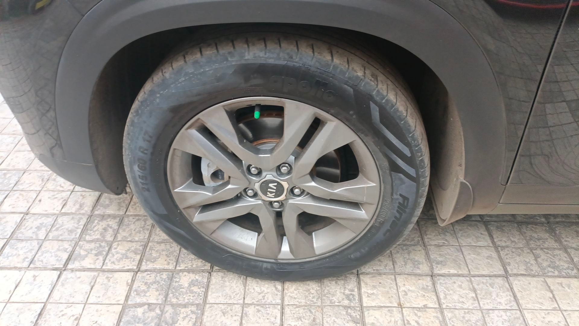 Seltos image 12 Seltos image 12