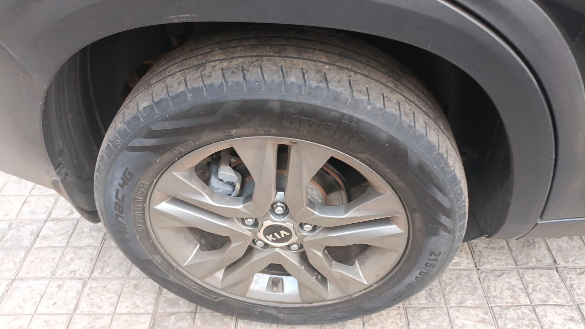 Seltos image 11 Seltos image 11