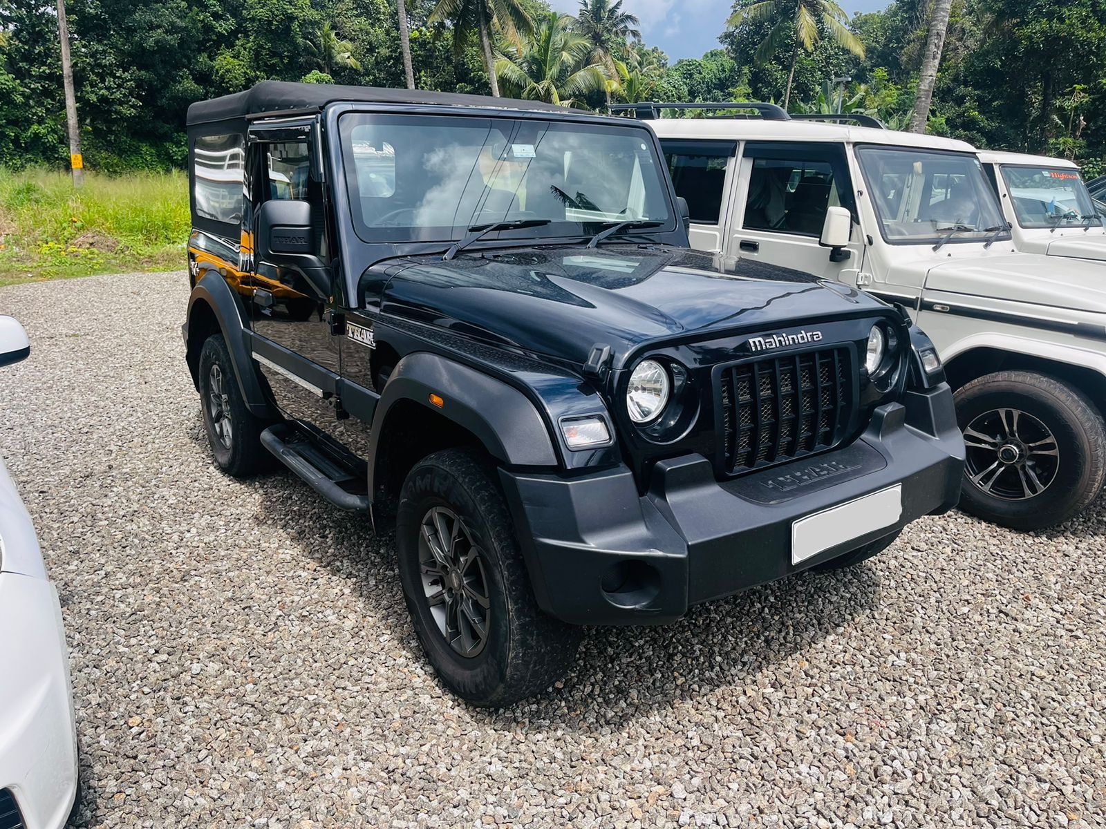 Thar image 3 Thar image 3