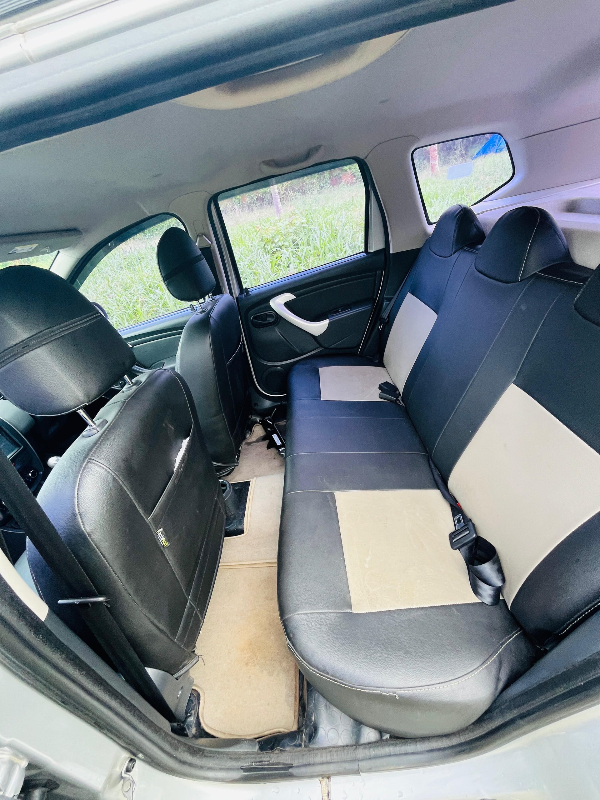 Terrano image 11 Terrano image 11