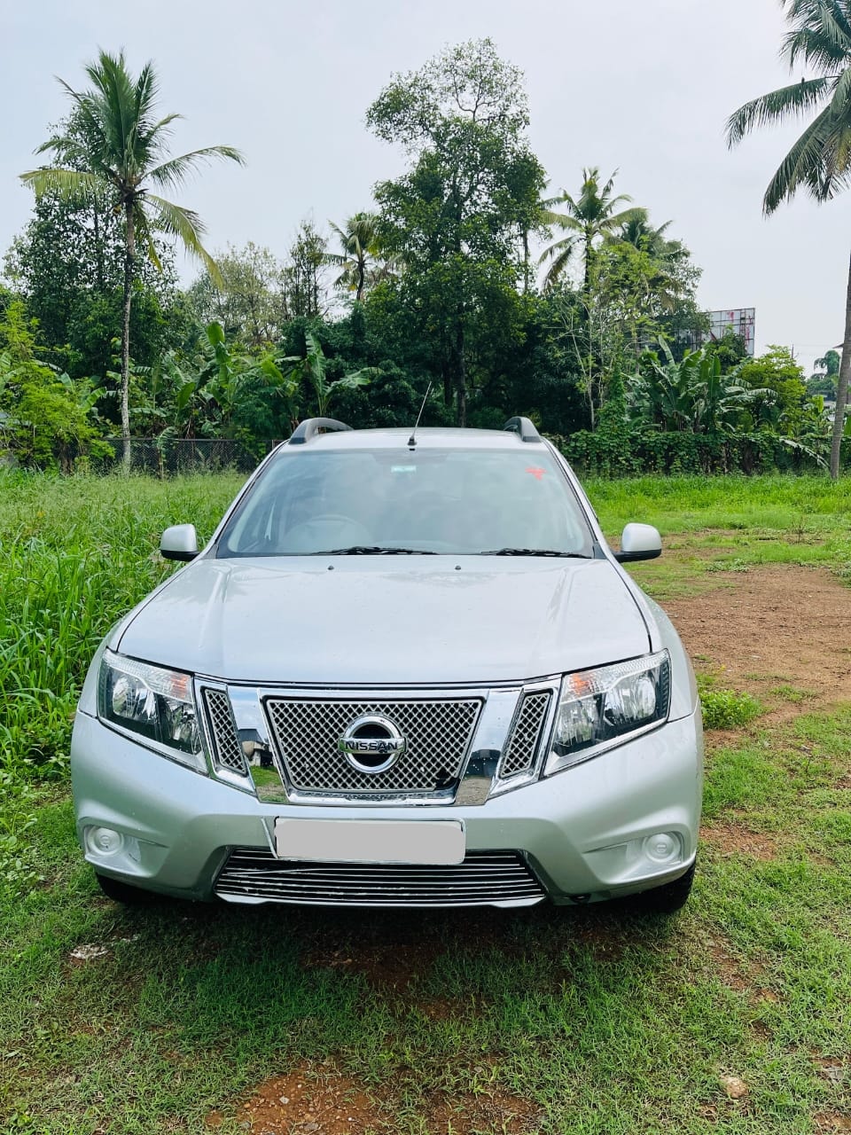 Terrano image 7 Terrano image 7