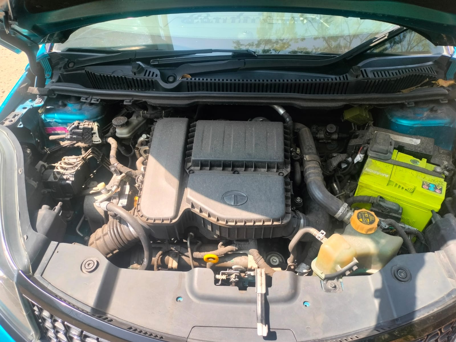 Nexon image 7 Nexon image 7