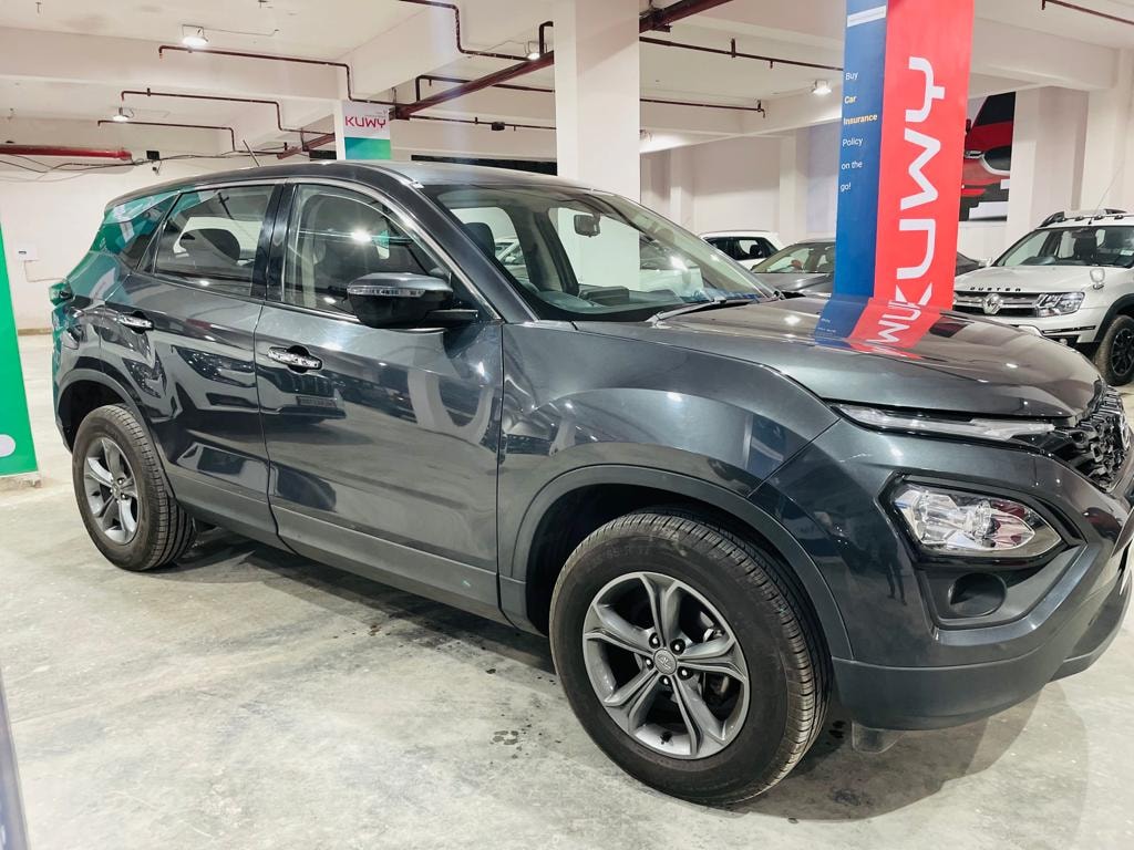 Harrier image 8 Harrier image 8