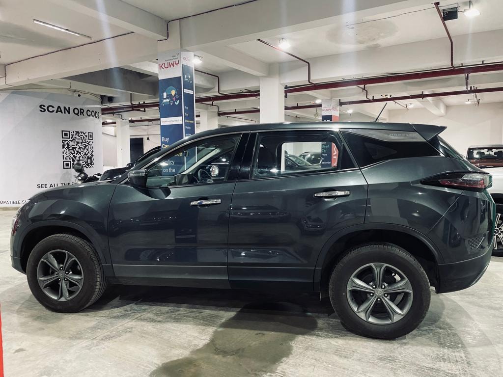 Harrier image 11 Harrier image 11