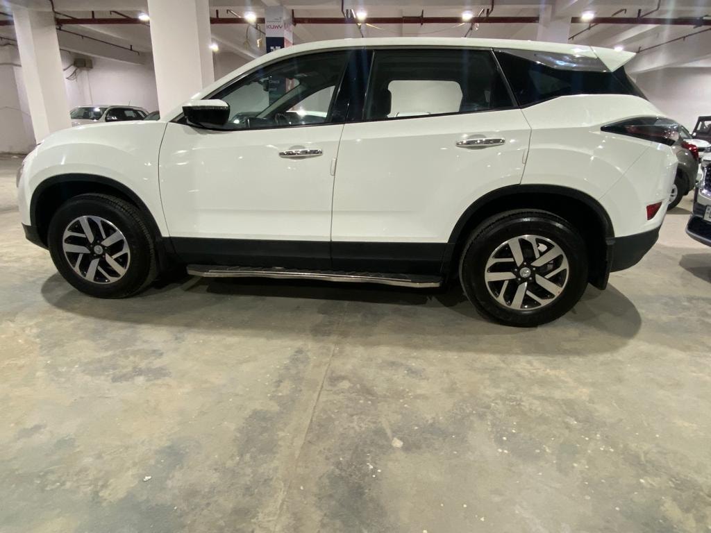 Harrier image 2 Harrier image 2