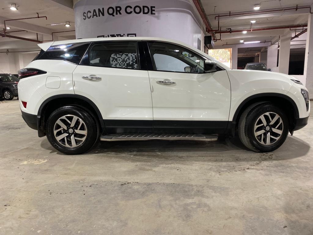 Harrier image 6 Harrier image 6