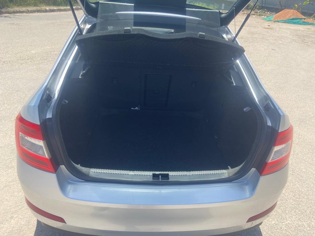 Octavia image 10 Octavia image 10