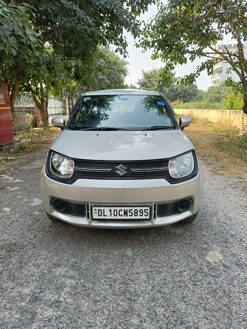 Ignis image 8 Ignis image 8