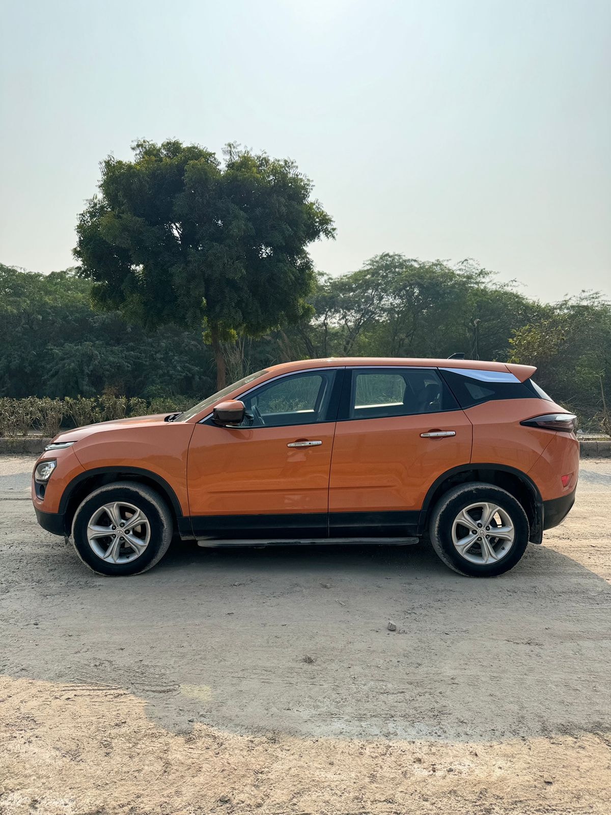 Harrier image 2 Harrier image 2