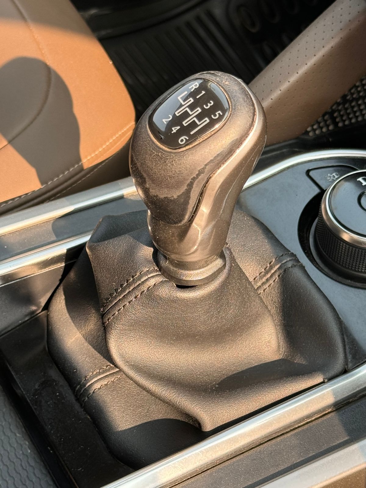 Harrier image 11 Harrier image 11