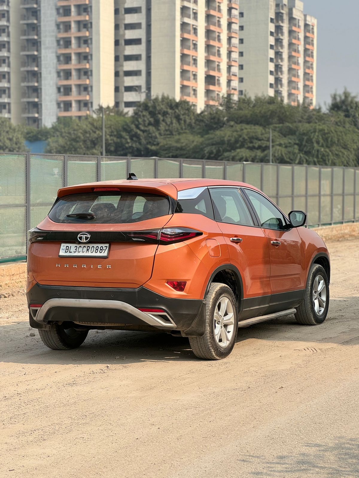 Harrier image 9 Harrier image 9