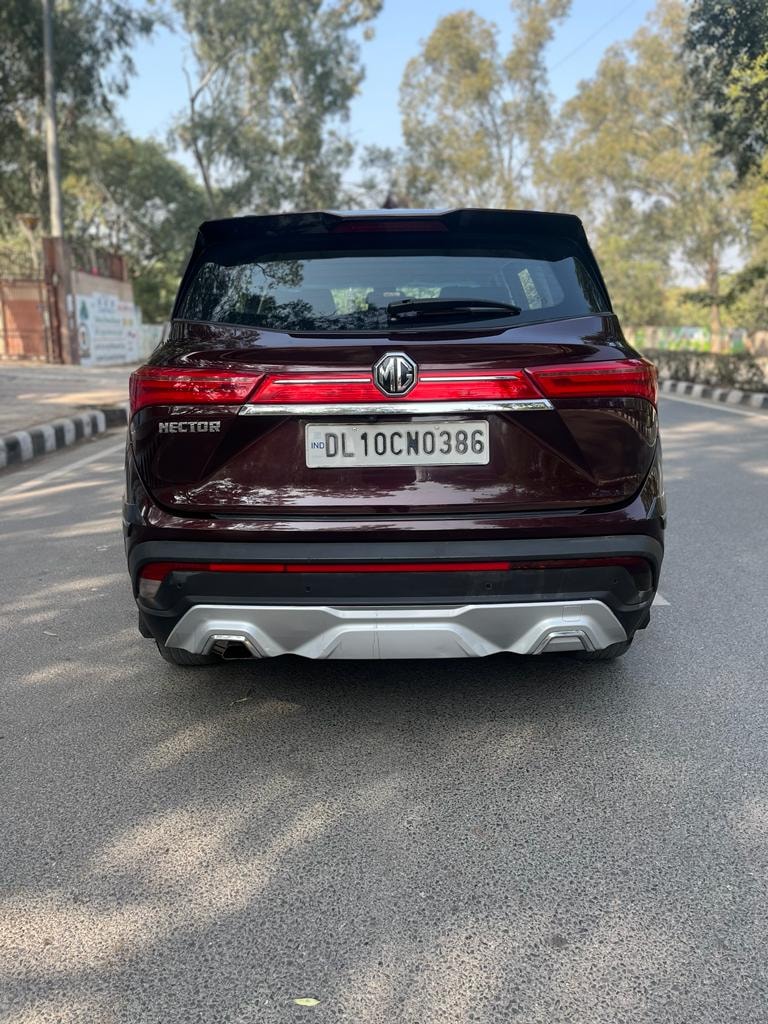 Hector image 4 Hector image 4