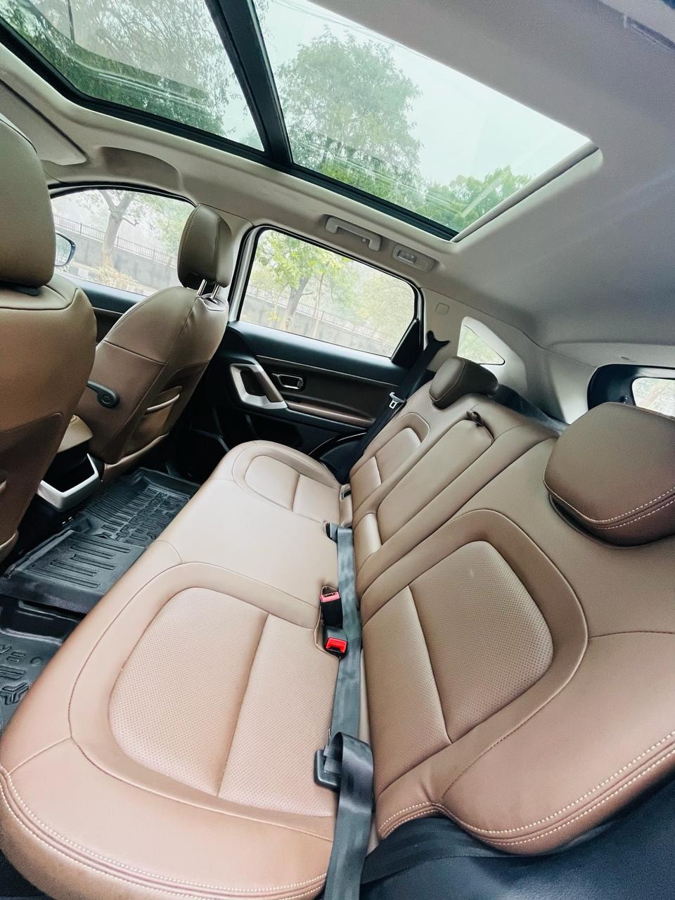 Harrier image 15 Harrier image 15