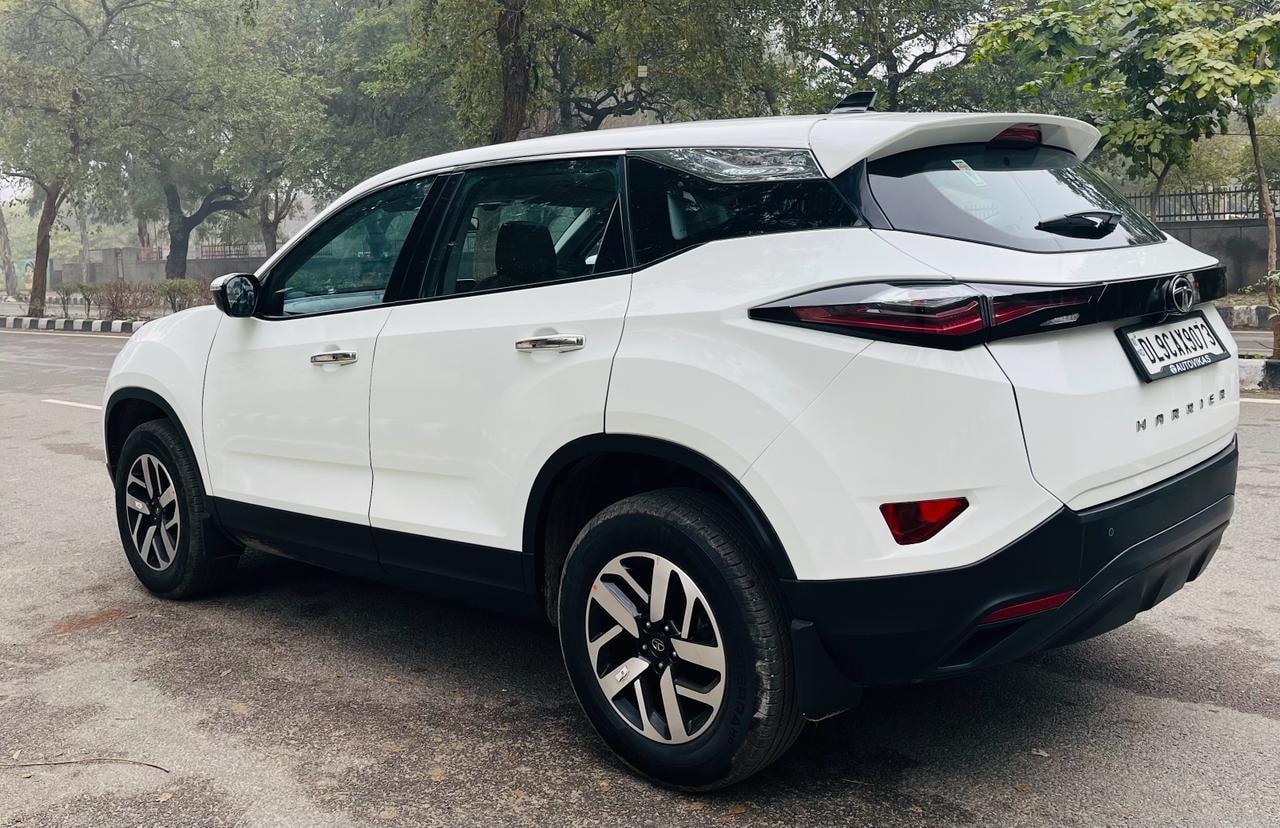 Harrier image 4 Harrier image 4