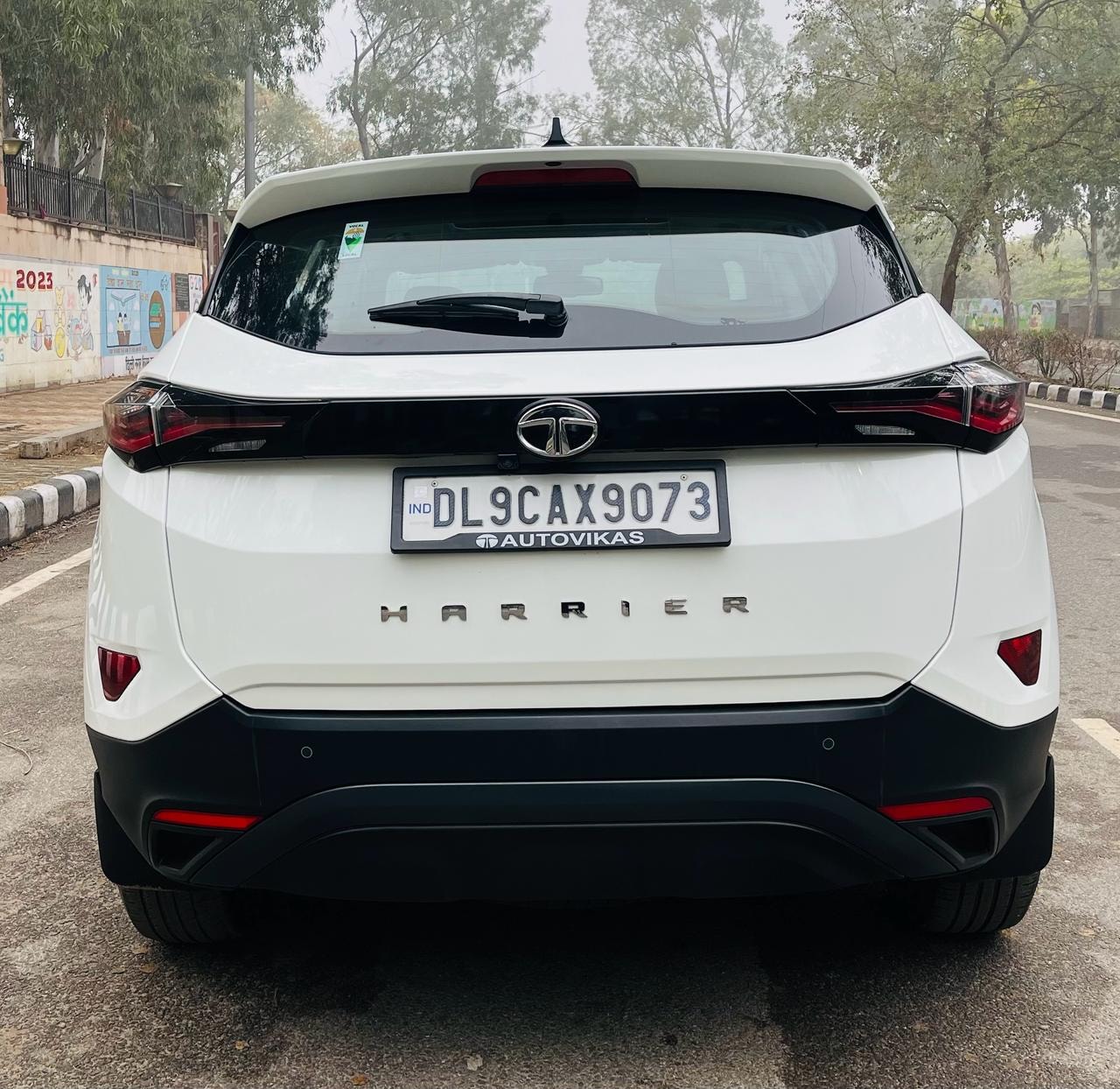 Harrier image 10 Harrier image 10