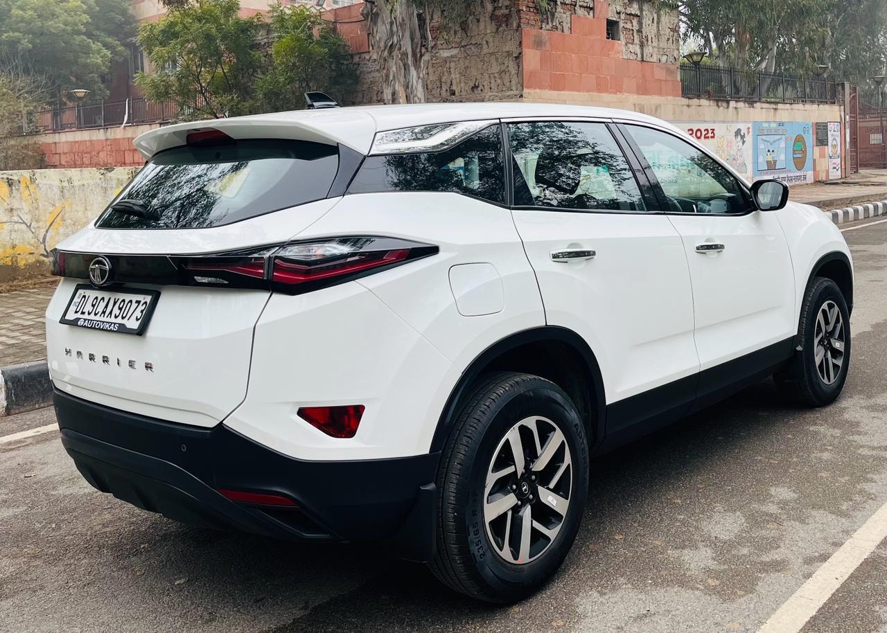 Harrier image 9 Harrier image 9