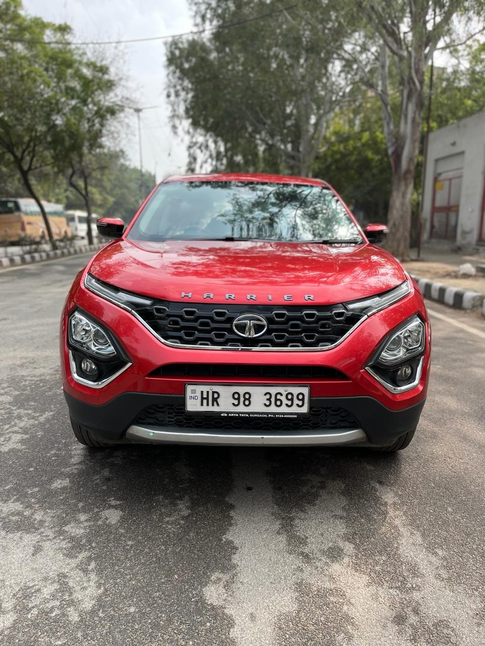 Harrier image 8 Harrier image 8