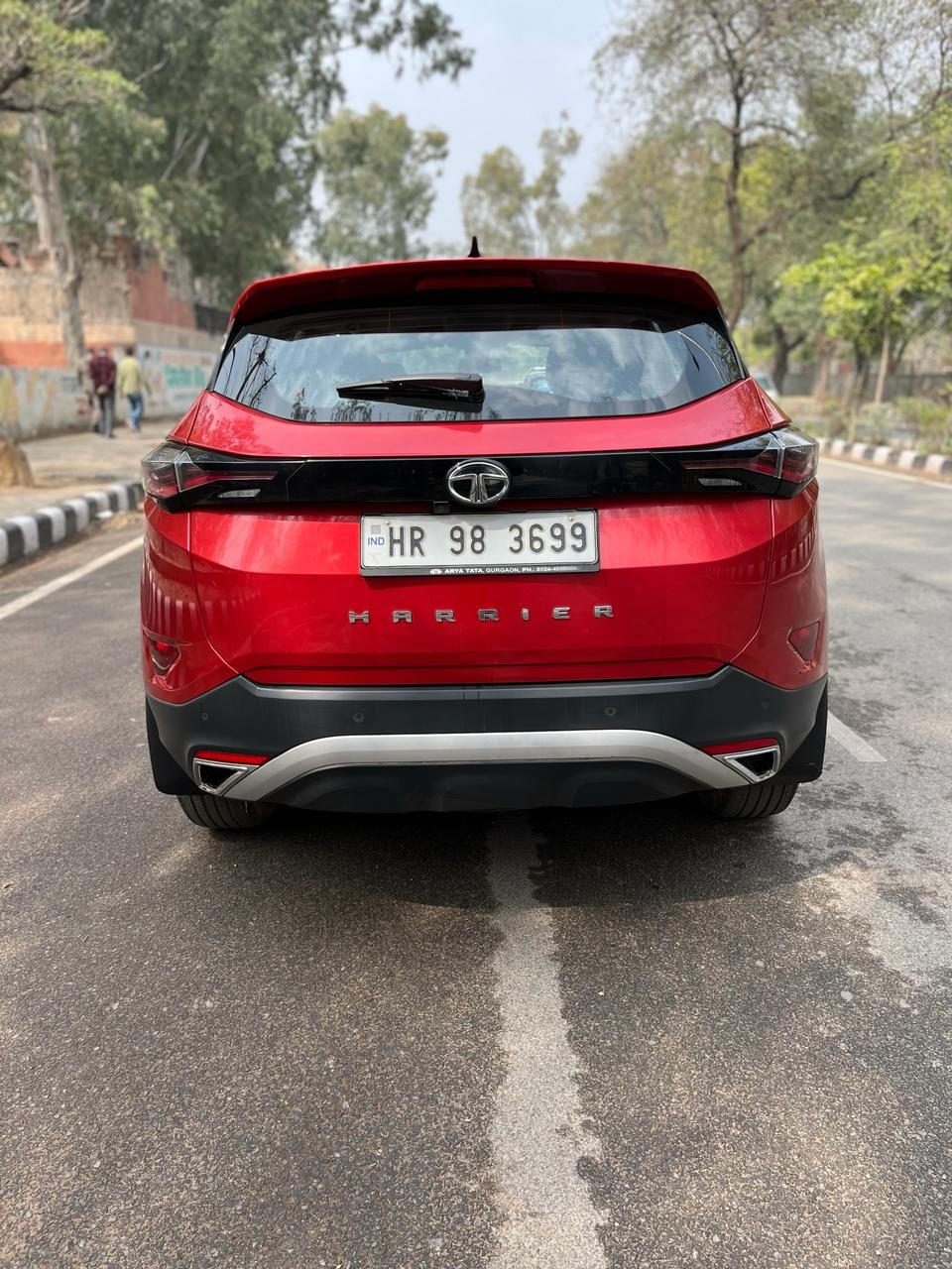 Harrier image 4 Harrier image 4