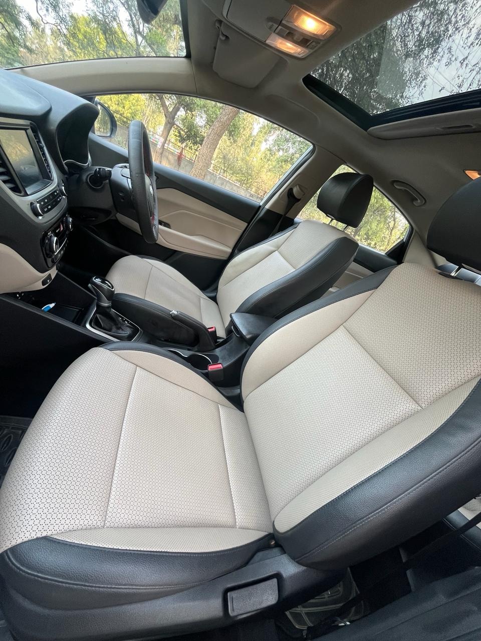 Verna image 12 Verna image 12