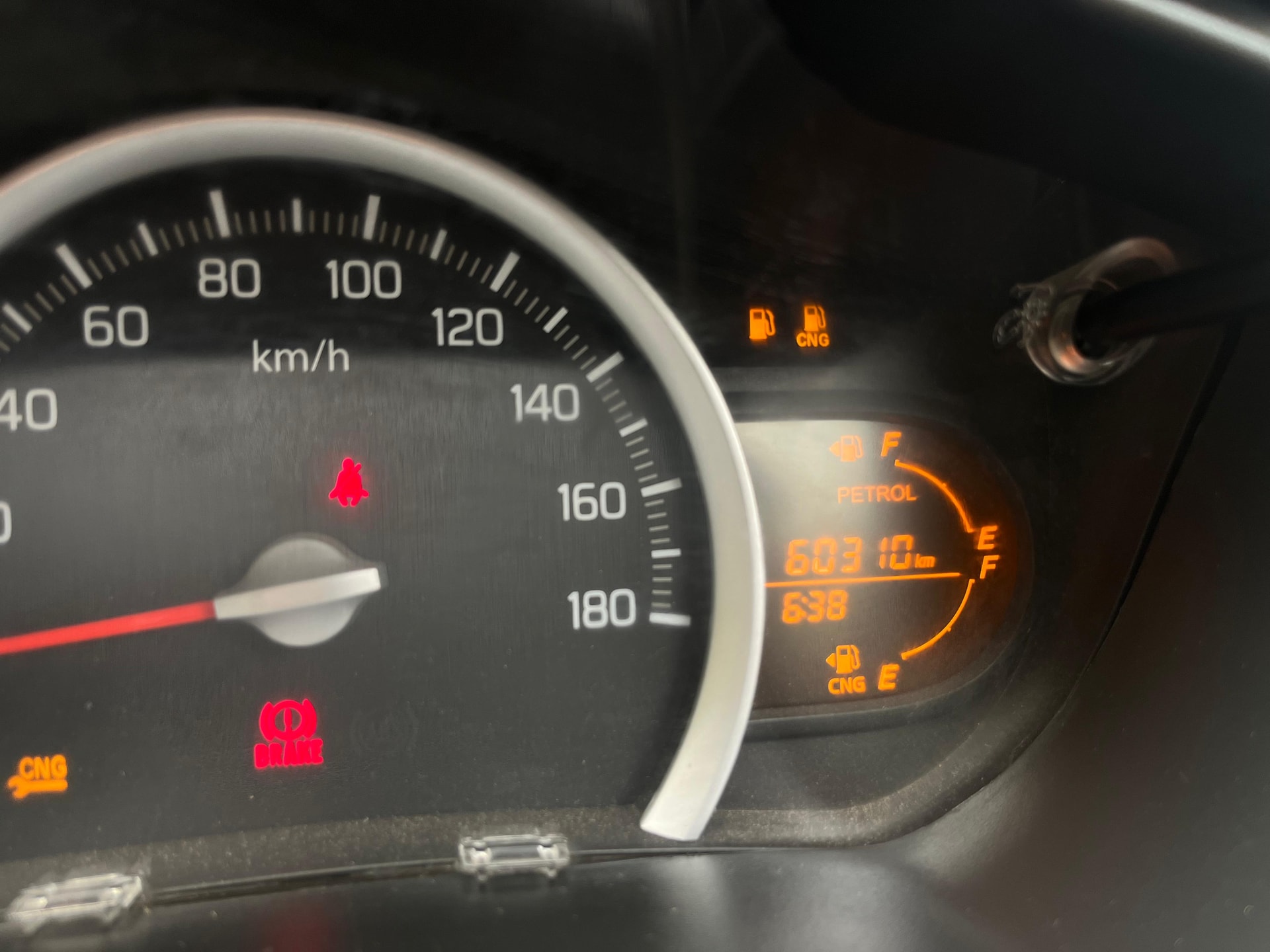 Celerio image 11 Celerio image 11