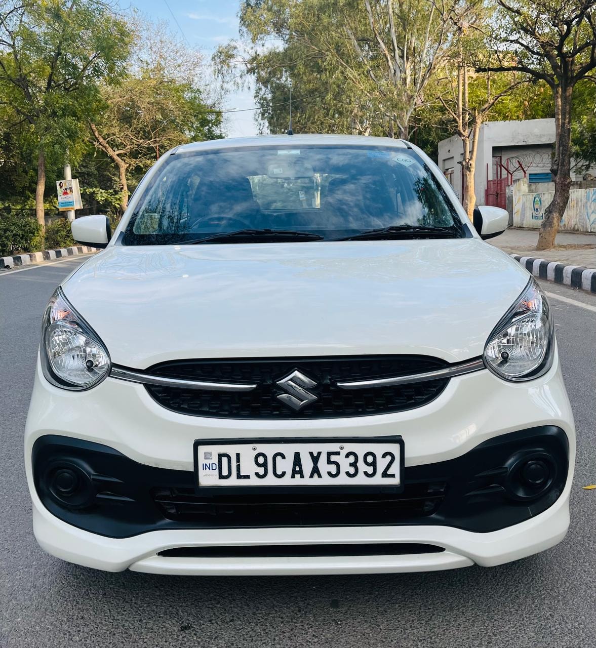 Celerio image 1 Celerio image 1