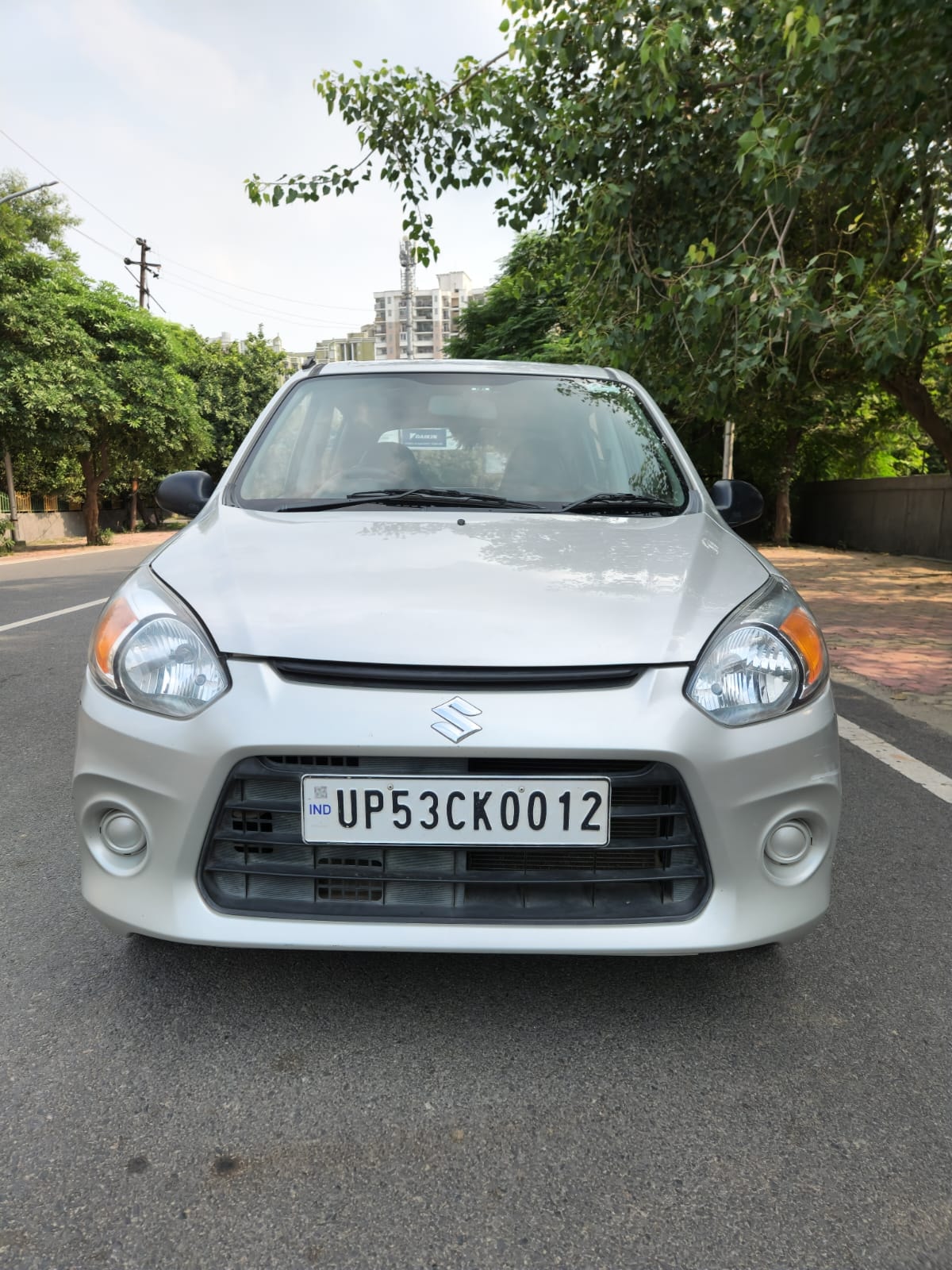 Alto 800 image 3 Alto 800 image 3