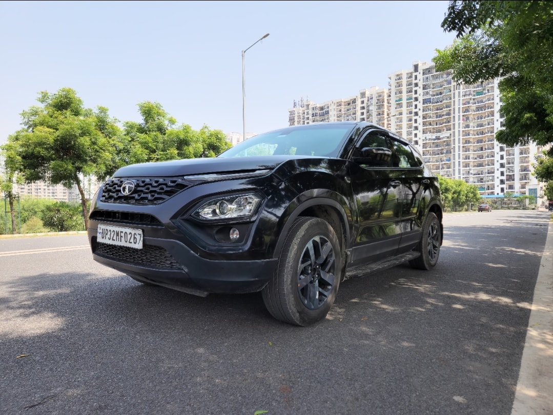 Harrier image 1 Harrier image 1