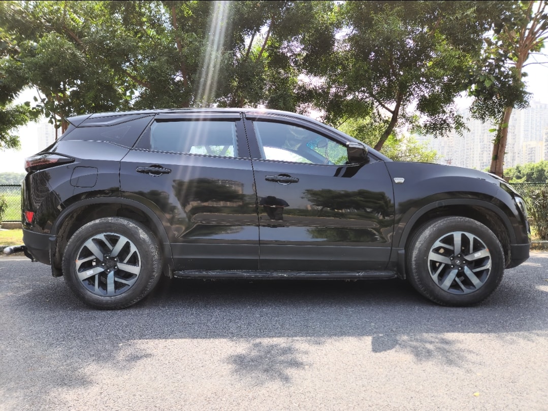 Harrier image 2 Harrier image 2