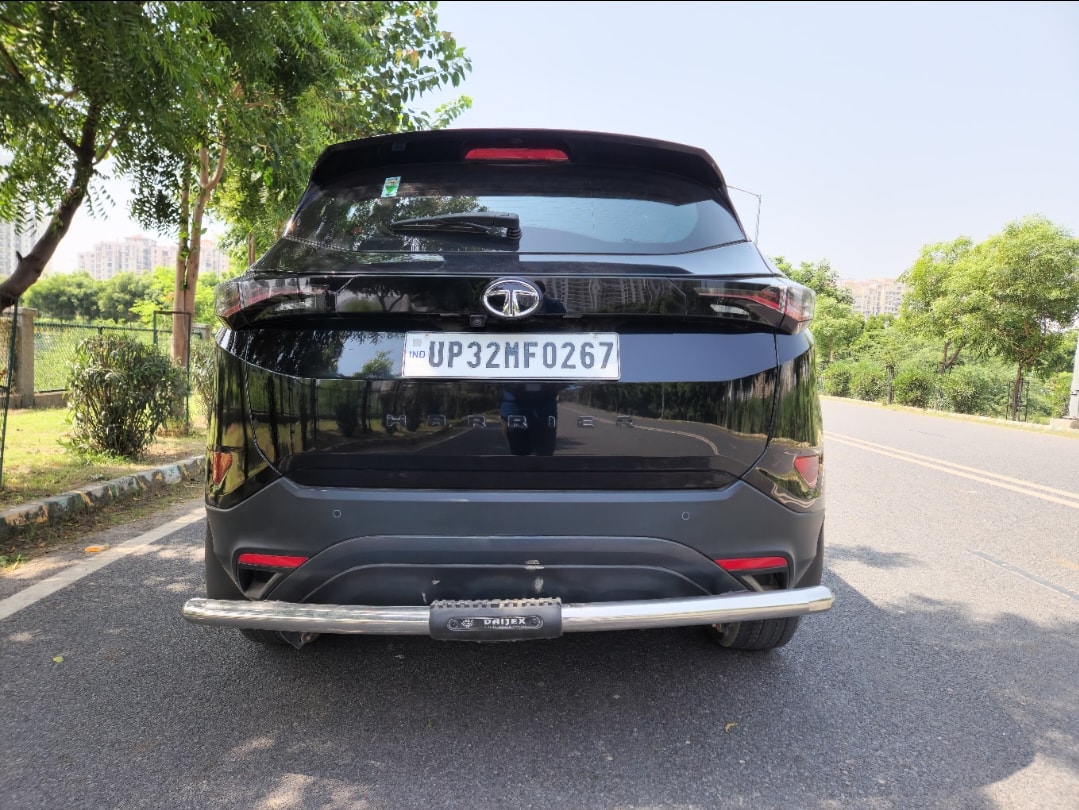 Harrier image 4 Harrier image 4