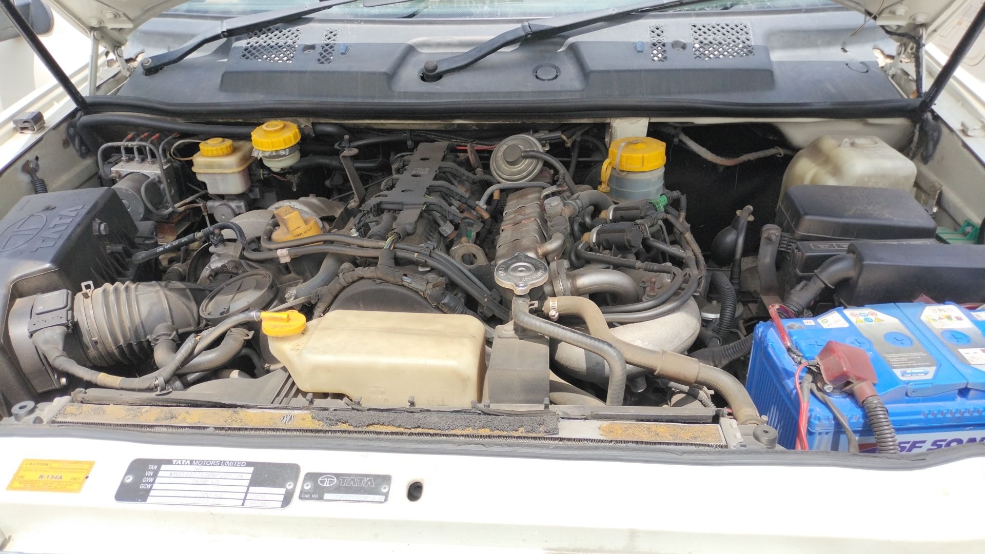 Safari image 13 Safari image 13