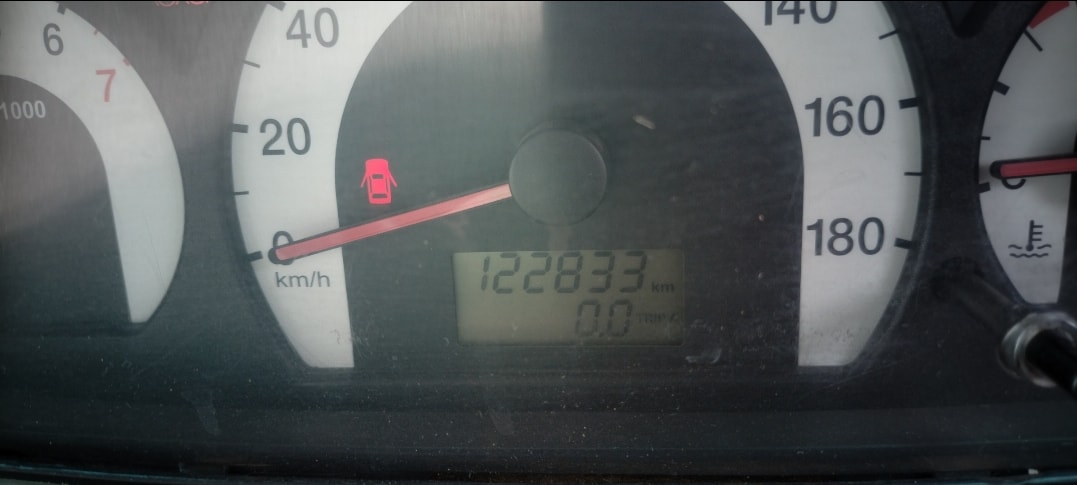 Xylo image 10 Xylo image 10