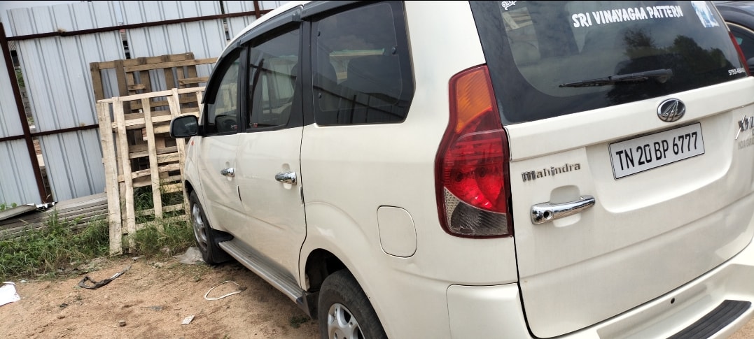 Xylo image 3 Xylo image 3