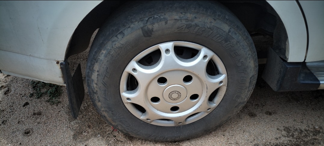 Xylo image 8 Xylo image 8