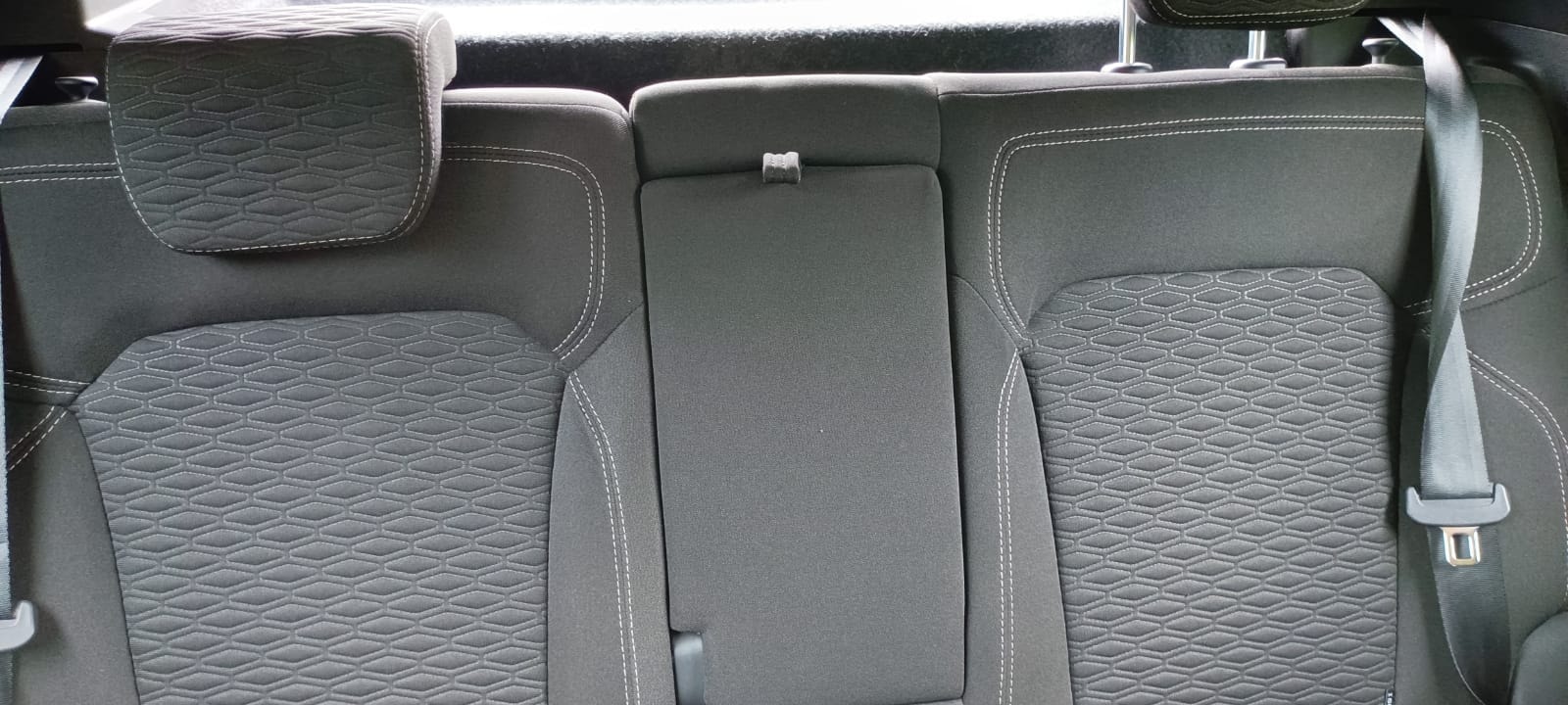 Kiger image 12 Kiger image 12