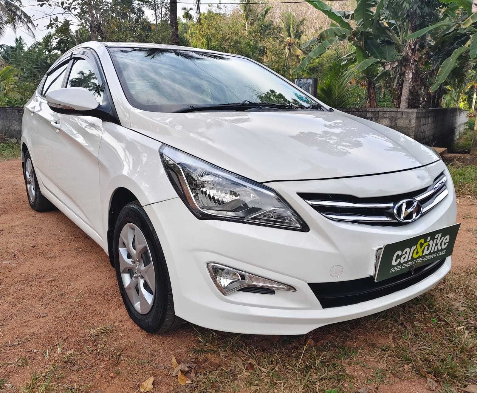 Verna image 7 Verna image 7